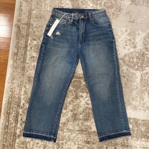 Blank NYC jeans new flare bottom size 27 high rise